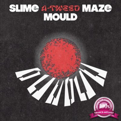 A-Tweed - Slime Mould Maze EP (2022)