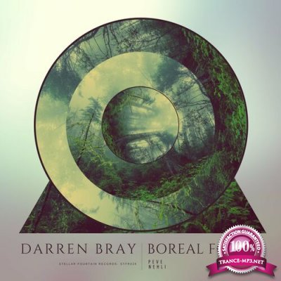 Darren Bray - Boreal Forest (2022)