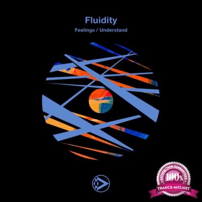 Fluidity - Feelings / Understand (2022)