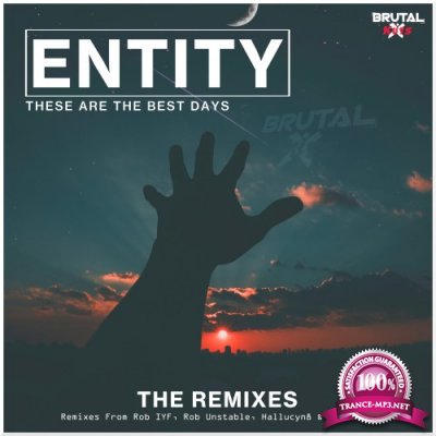 Entity - These Are The Best Days (The Remixes) (2022)