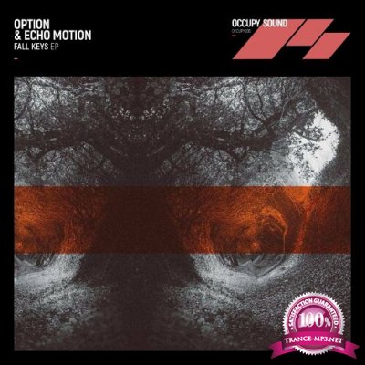Option & Echo Motion - Fall Keys EP (2022)