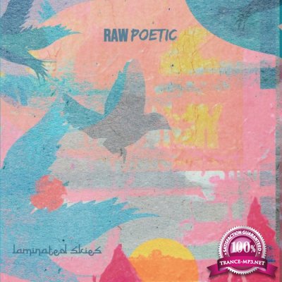 Raw Poetic & Damu The Fudgemunk - Laminated Skies (2022)