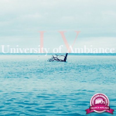 University Of Ambiance, Vol 4 (2022)
