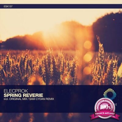 elecprok - Spring Reverie (2022)