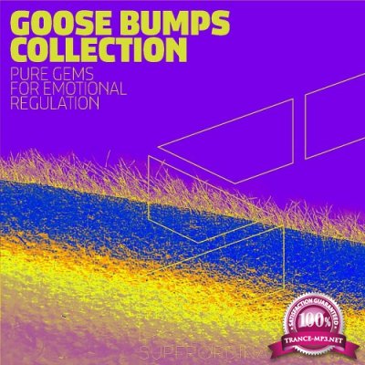 Goose Bumps Collection, Vol. 7 (2022)