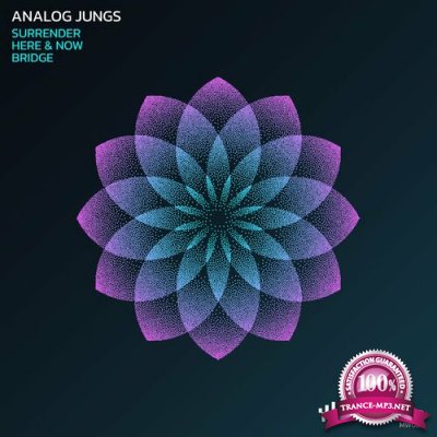 Analog Jungs - Surrender (2022)