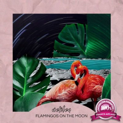 Aebleo - flamingos on the moon (2022)