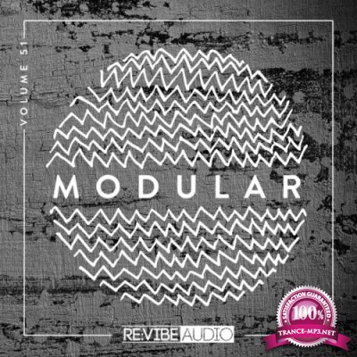 Modular, Vol. 51 (2022)