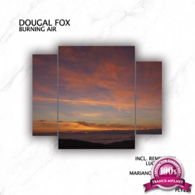 Dougal Fox - Burning Air (2022)