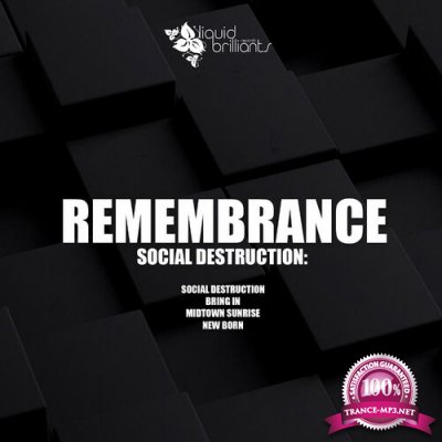 Remembrance - Social Destruction (2022)