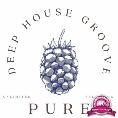 Pure Deep Groove (2022)