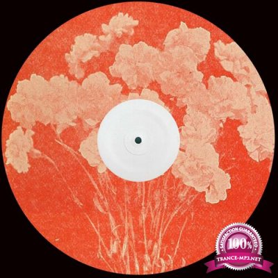 Flystereo - Red (2022)