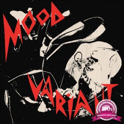 Hiatus Kaiyote, Arthur Verocai - Mood Variant (The Remixes) (2022)