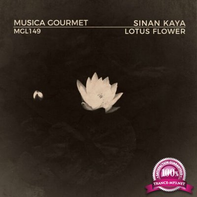 Sinan Kaya - Lotus Flower (2022)