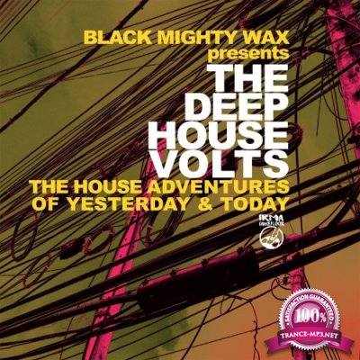 The Deep House Volts (The House Adventures of Yesterday & Today) (2022)