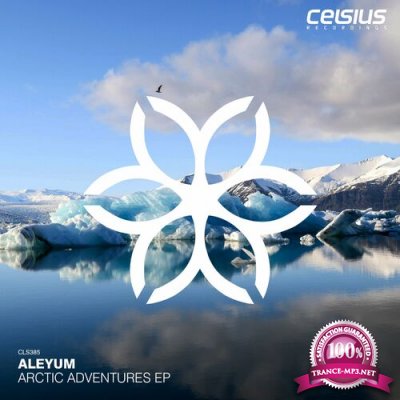 Aleyum - Arctic Adventures EP (2022)