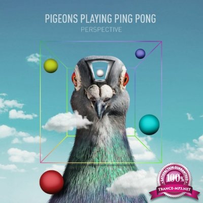 Pigeons Playing Ping Pong - Perspective (2022)