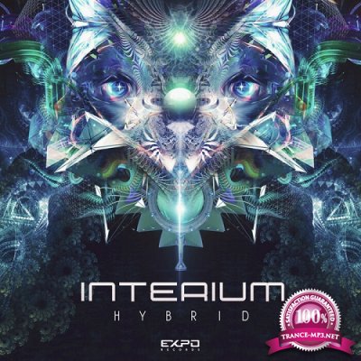 Interium - Hybrid (Single) (2022)
