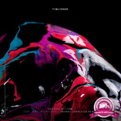 Tinlicker ft Jamie Irrepressible - You Take My Hand (Reinier Zonneveld Remix)  WEB (2022)