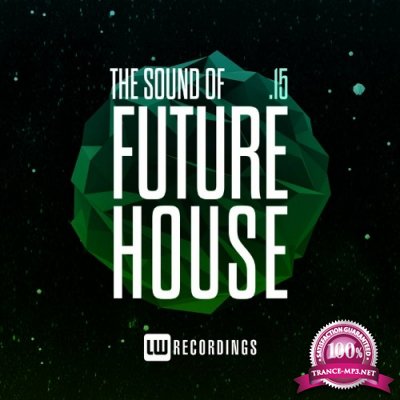 The Sound Of Future House, Vol. 15 (2022)