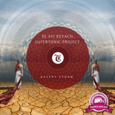 DJ Avi Revach & Supertonic Project - Desert Storm (2022)