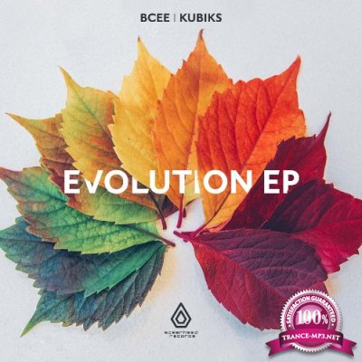 Bcee & Kubiks & Degs - The Evolution EP (2022)