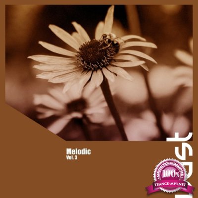 Melodic, Vol. 3 (2022)
