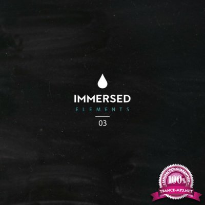 Immersed Elements 03 (2022)