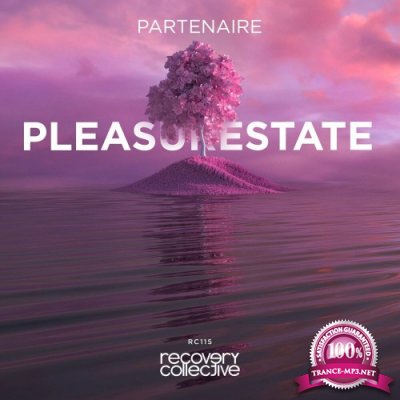 Partenaire - Pleasurestate (2022)
