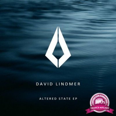 David Lindmer - Altered State (2022)