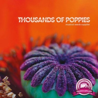 Thousands of Poppies - Musical Seeds Supplier (2022)