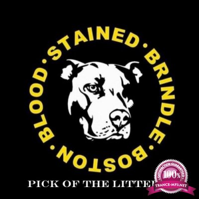 Blood Stained Brindle - Pick Of The Litter (2022)