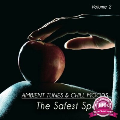 The Safest Space ,Vol. 2 (Ambient Tunes and Chill Moods) (2022)