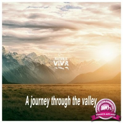 A Journey Through the Valley (2022)