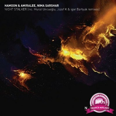 Hamoon & Amiralee x Nima Sarshar - Night Stalker (2022)