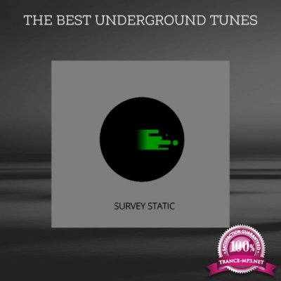 Survey Static - The Best Underground Tunes (2022)