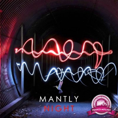 Mantly - Night (2022)