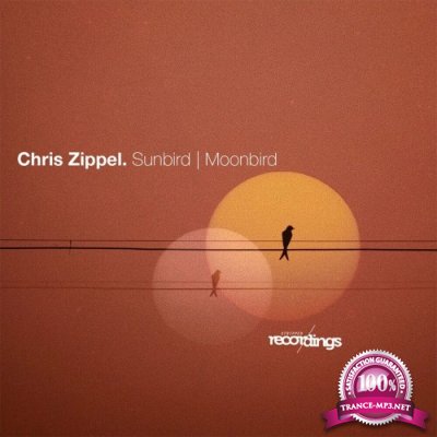Chris Zippel - Sunbird | Moonbird (2022)