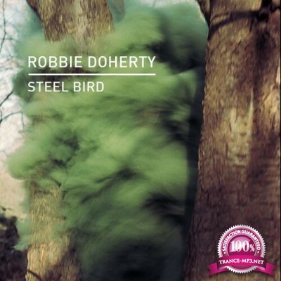 Robbie Doherty - Steel Bird (2022)