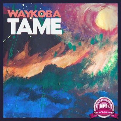 Waykoba - Tame (2022)