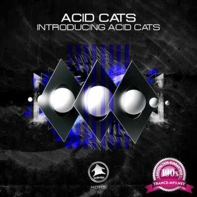 Acid Cats - Introducing Acid Cats (2022)