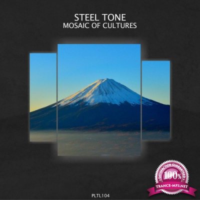 Steel Tone - Mosaic of Cultures (2022)