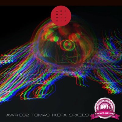 Tomash Kofa - Spaceship (2022)