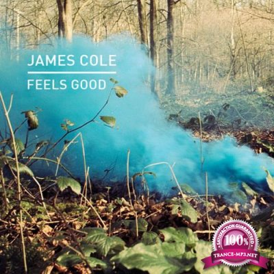 James Cole - Feels Good (2022)