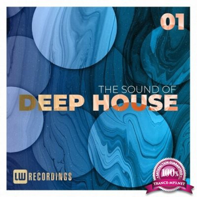 The Sound Of Deep House, Vol. 01 (2022)