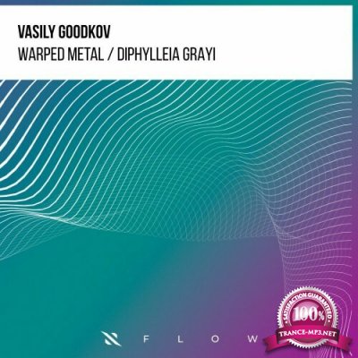 Vasily Goodkov - Warped Metal / Diphylleia Grayi (2022)
