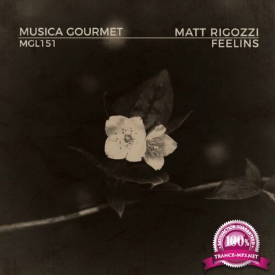 Matt Rigozzi - Feelings (2022)