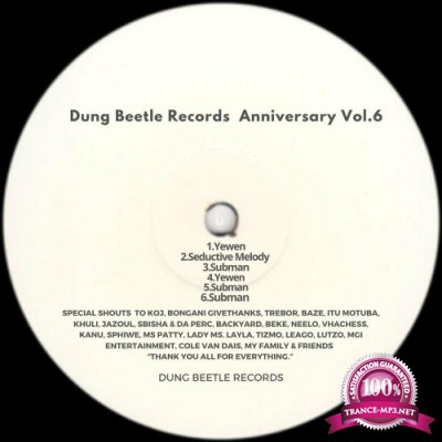Dung Beetle Records Anniversary, Vol. 6 (2022)