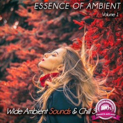 Essence of Ambient, Vol. 1 (Wide Ambient Sounds & Chill Scapes) (2022)