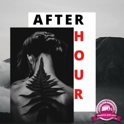 Afterhour (The Deephouse Selection) (2022)